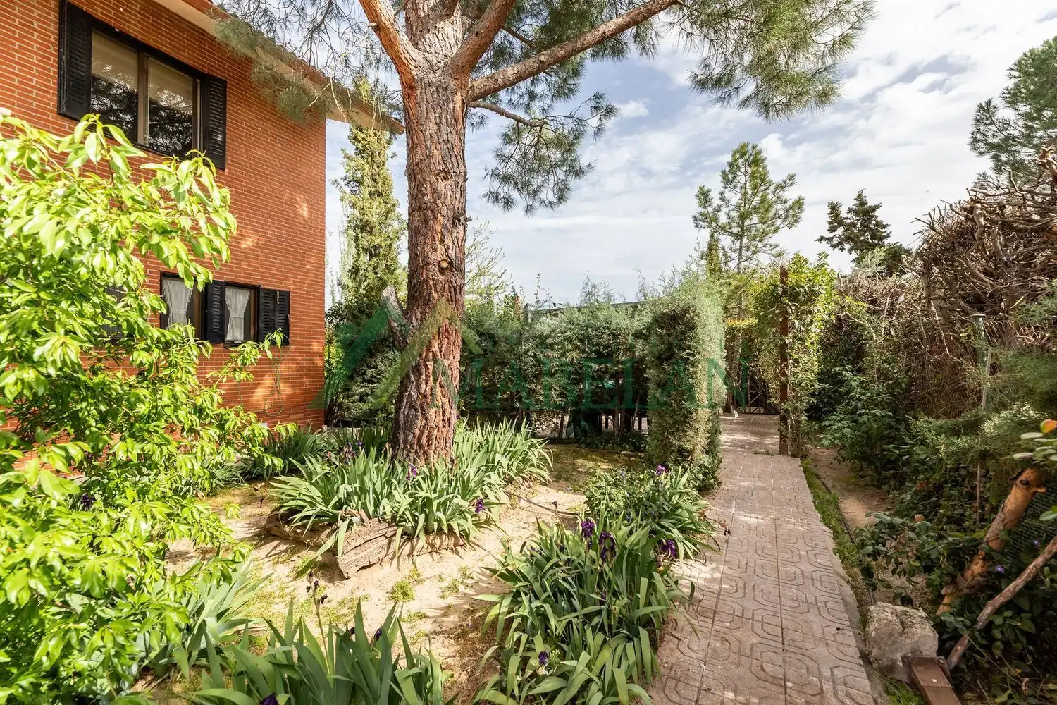 Jardí de Casa o xalet en venda en Las Rozas de Madrid amb Aire condicionat, Calefacció i Jardí privat