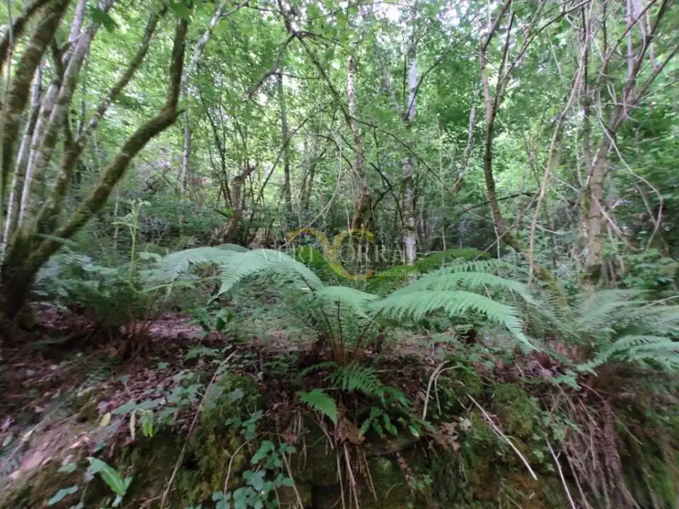 Casa en venta en Cangas de Onís, imagen 18