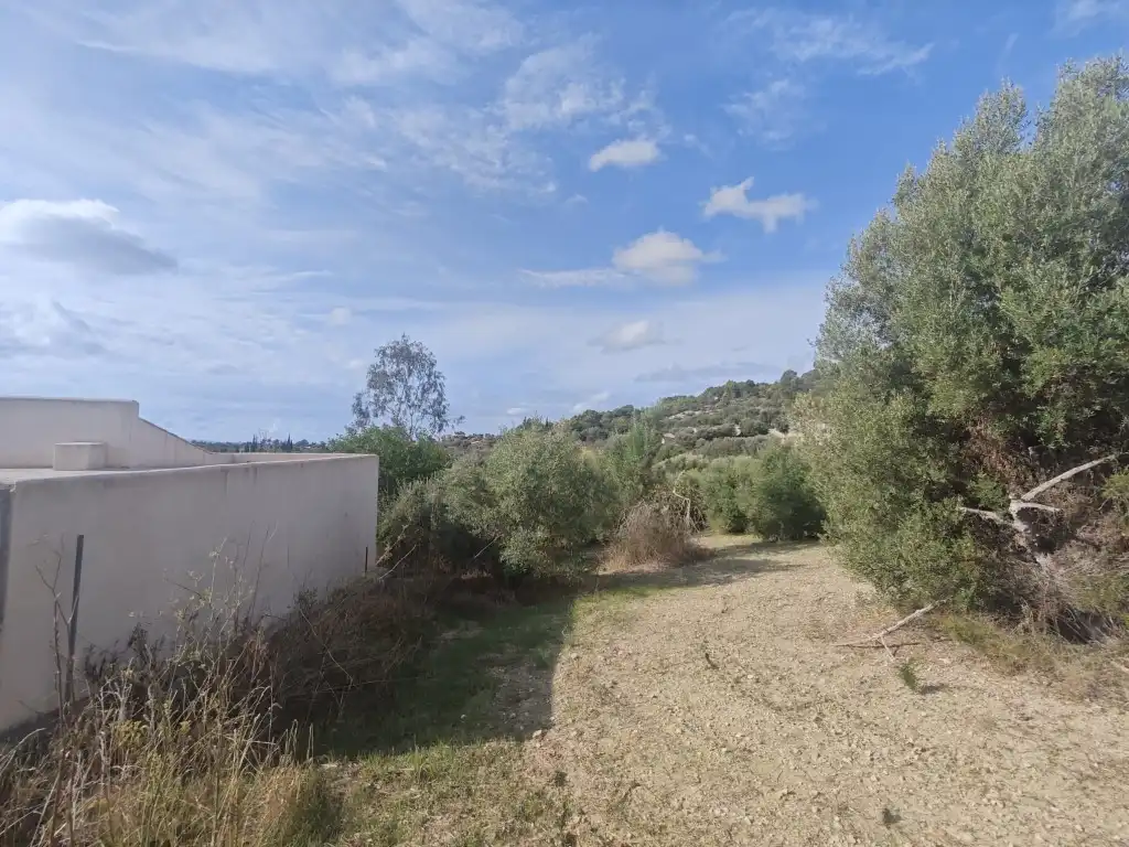 Casa rústica en venta en Selva, imagen 12