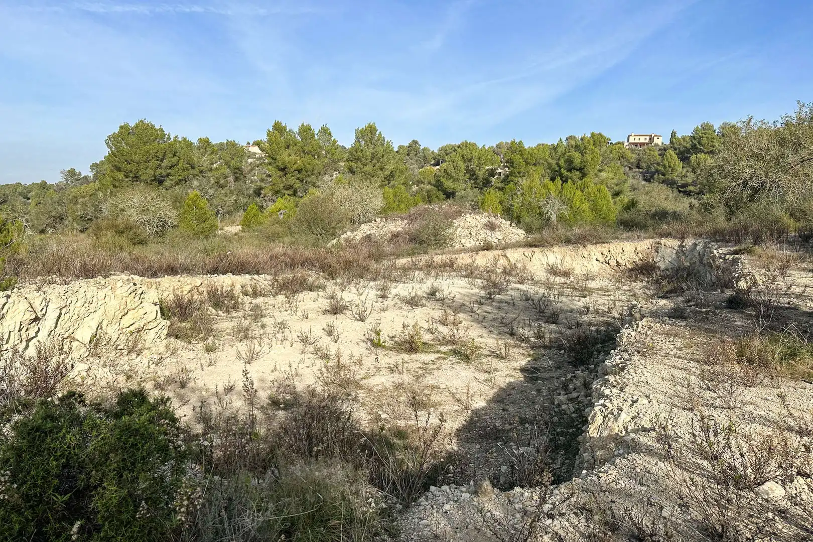 Residential land for sale in Manacor Centre, imagen 2