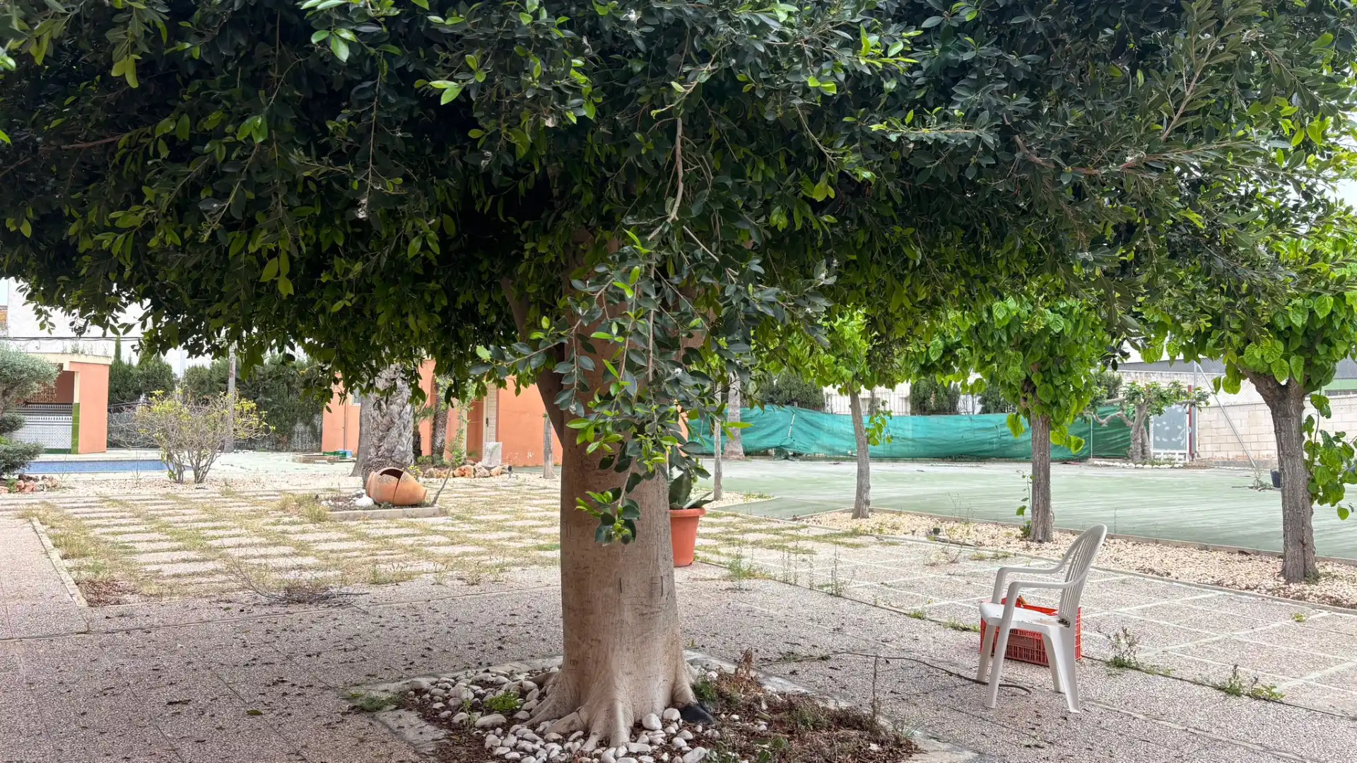 Jardí de Casa o xalet en venda en Elche / Elx amb Jardí privat, Terrassa i Piscina