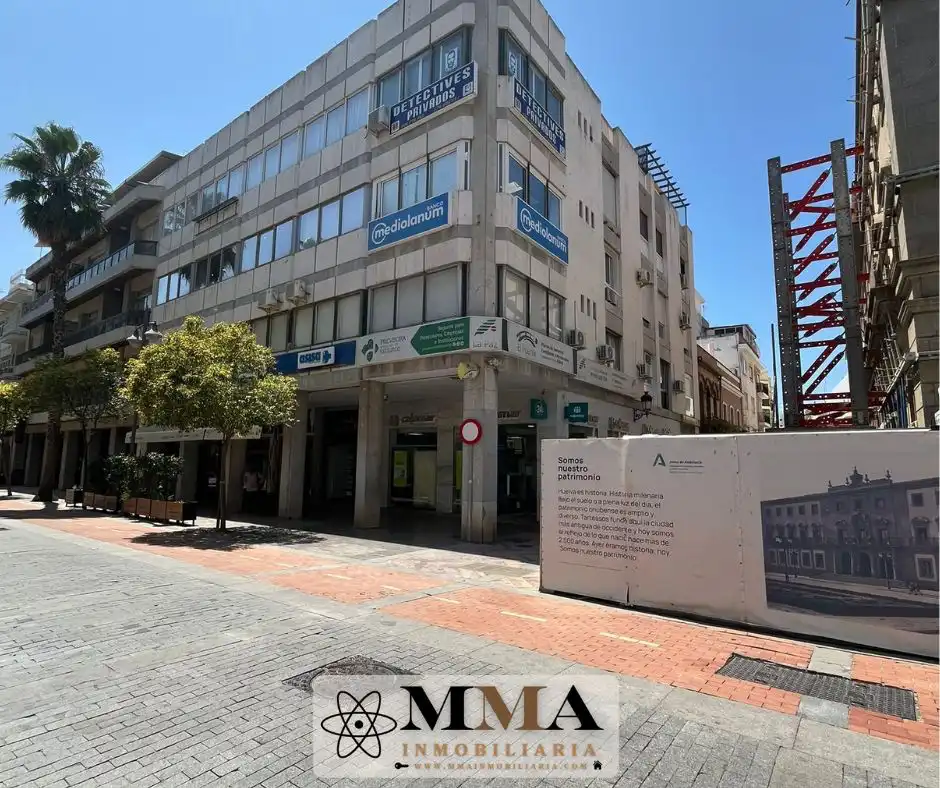 Oficina amb ascensor de lloguer a Avenida Martín Alonso Pinzón, imagen 4