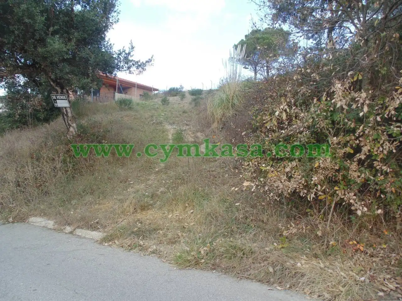 Terreno rustico in vendita a Mas Altaba - El Molí, imagen 2