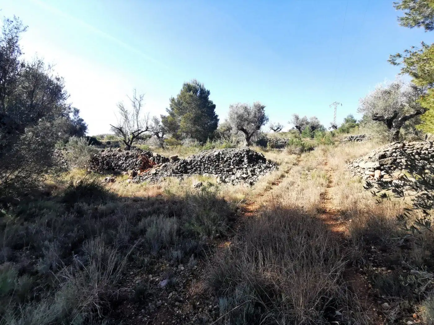 Finca rústica en venda en Chella