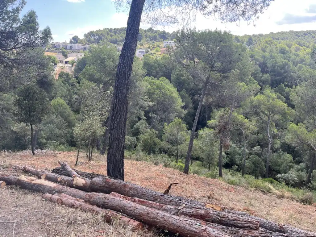 Residential land for sale in Viladecavalls, imagen 8