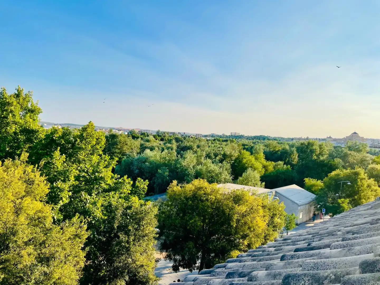 Jardí de Dúplex en venda en Córdoba amb Calefacció, Terrassa i Balcó