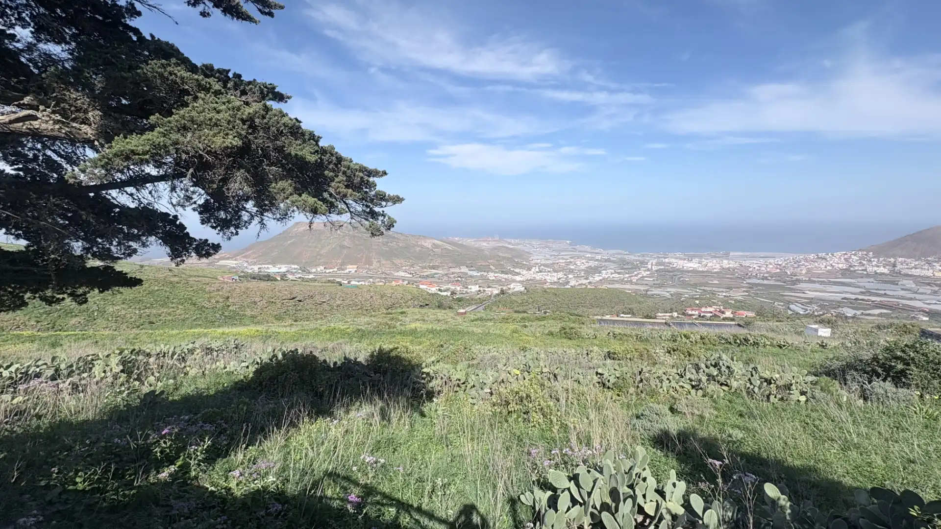 Vista exterior de Casa o chalet en venta en Gáldar con Jardín privado y Terraza