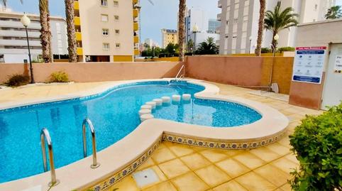 Foto 2 de Planta baixa de lloguer a  Sacerdote Ant Roca Moñino, 8, Puerto Deportivo, Guardamar del Segura