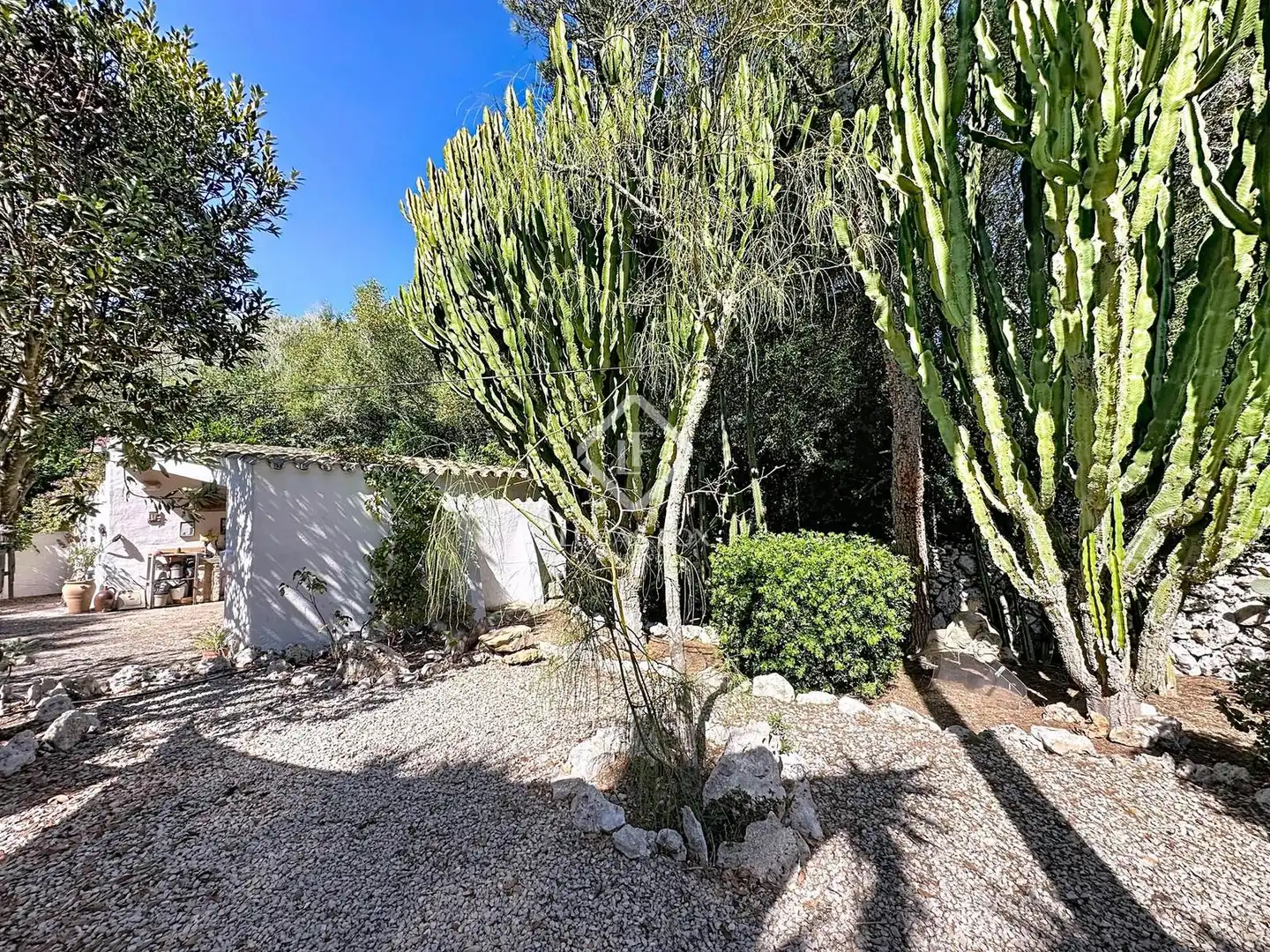 Jardí de Finca rústica en venda en Sant Lluís amb Aire condicionat, Calefacció i Jardí privat
