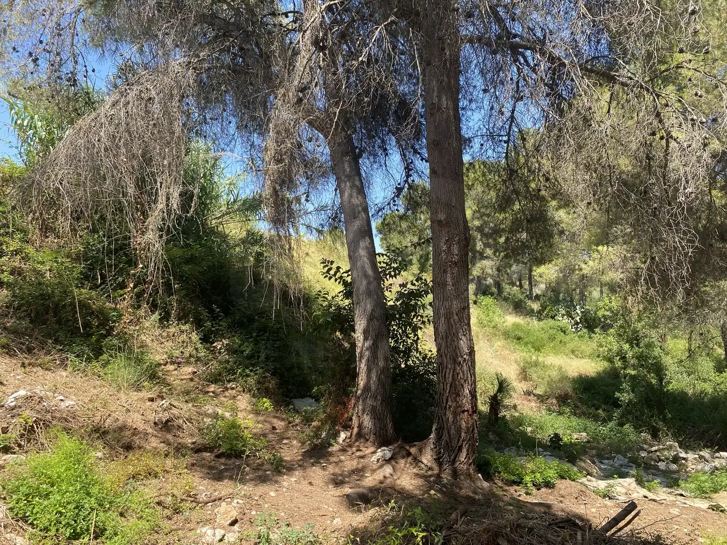 Residential land for sale in Urbanitzacions de Llevant, imagen 21