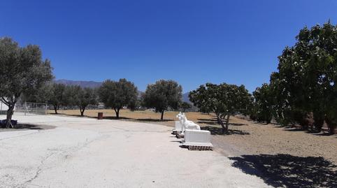 Foto 5 de Terreno en venta en Mijas Golf, Mijas