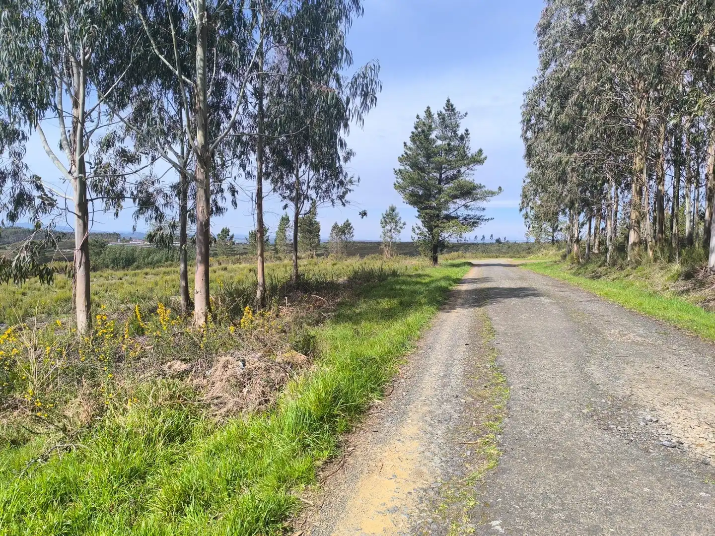 Vista exterior de Casa o xalet en venda en Palas de Rei amb Jardí privat