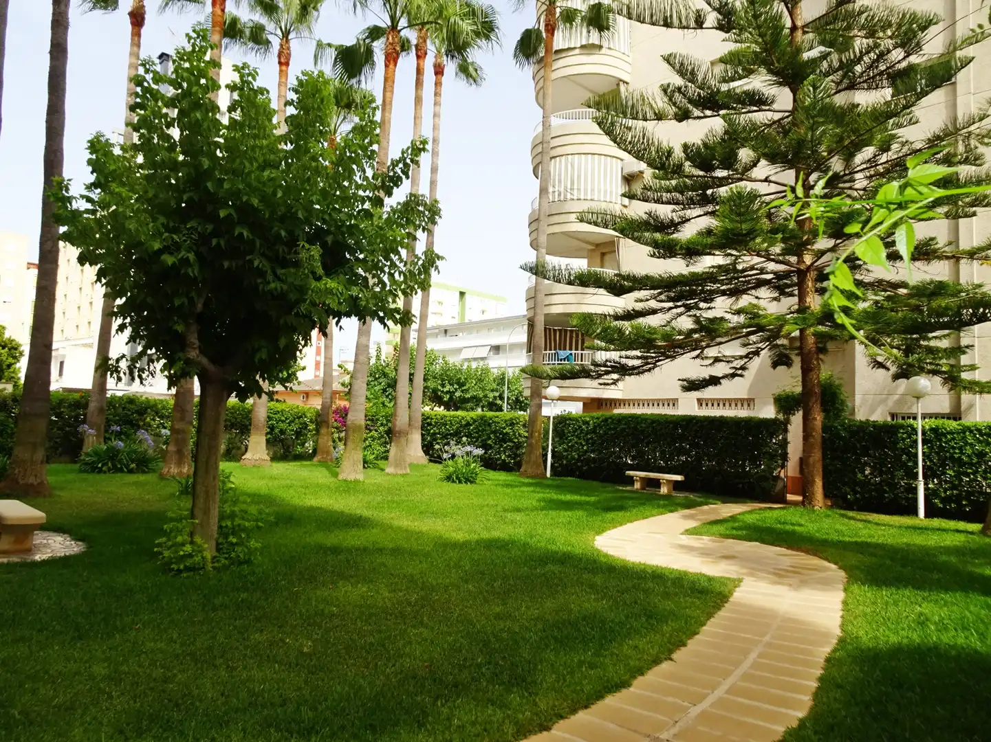 Apartament amb terrassa de lloguer a Playa de Gandia, imagen 32