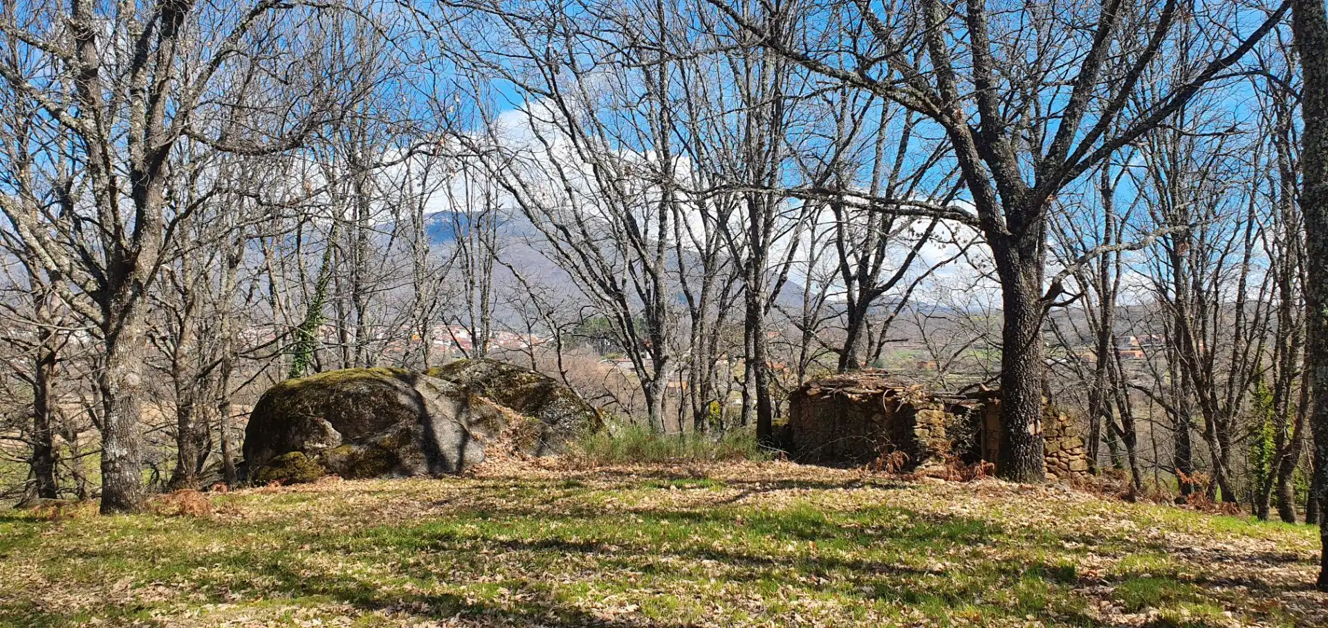 Terreni e lotti in vendita a Jarandilla de la Vera, imagen 12