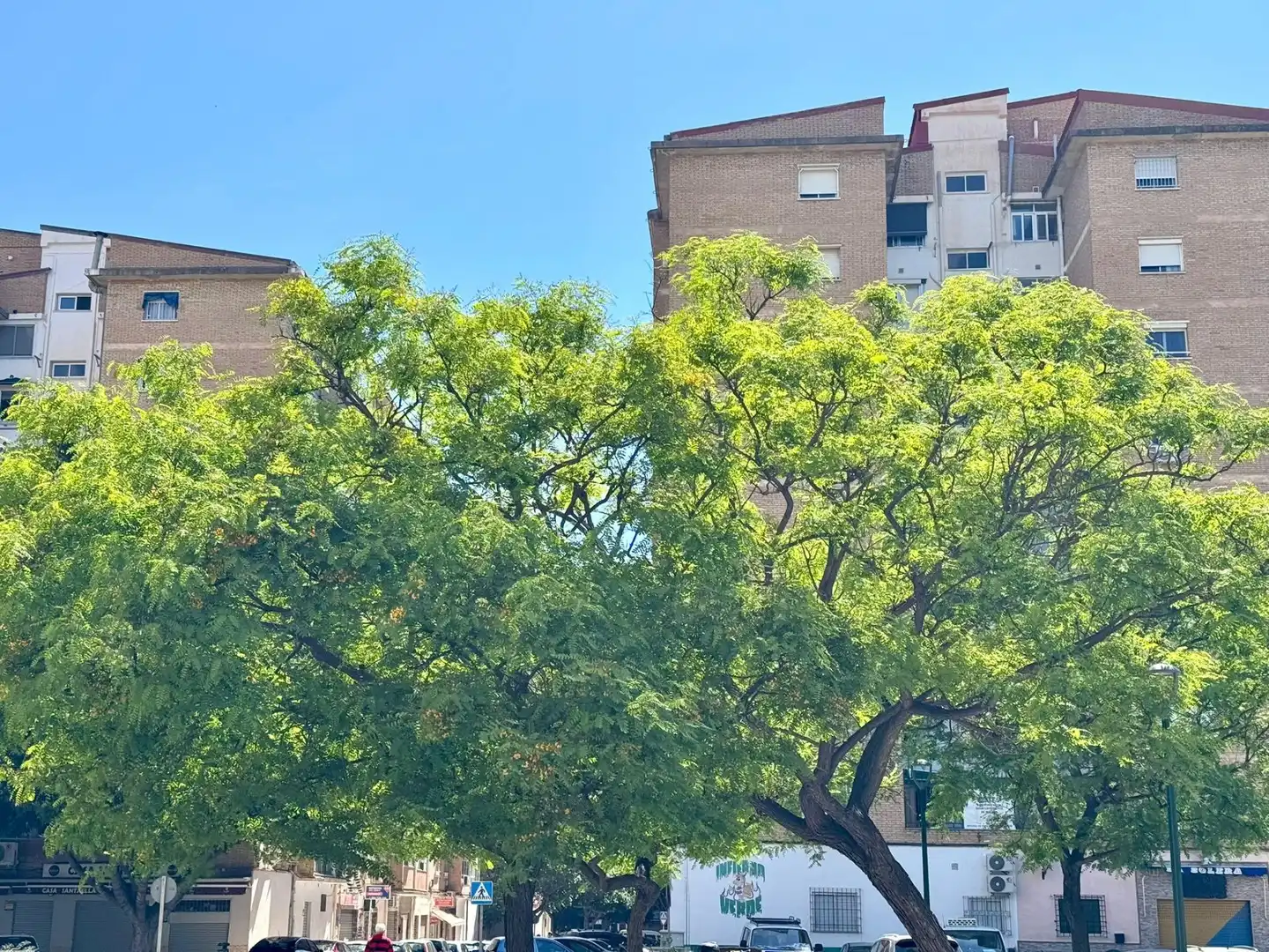 Vista exterior de Piso en venta en Málaga con Terraza y Balcón