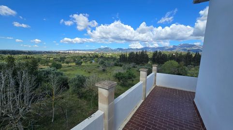 Finca Rustica en Inca.