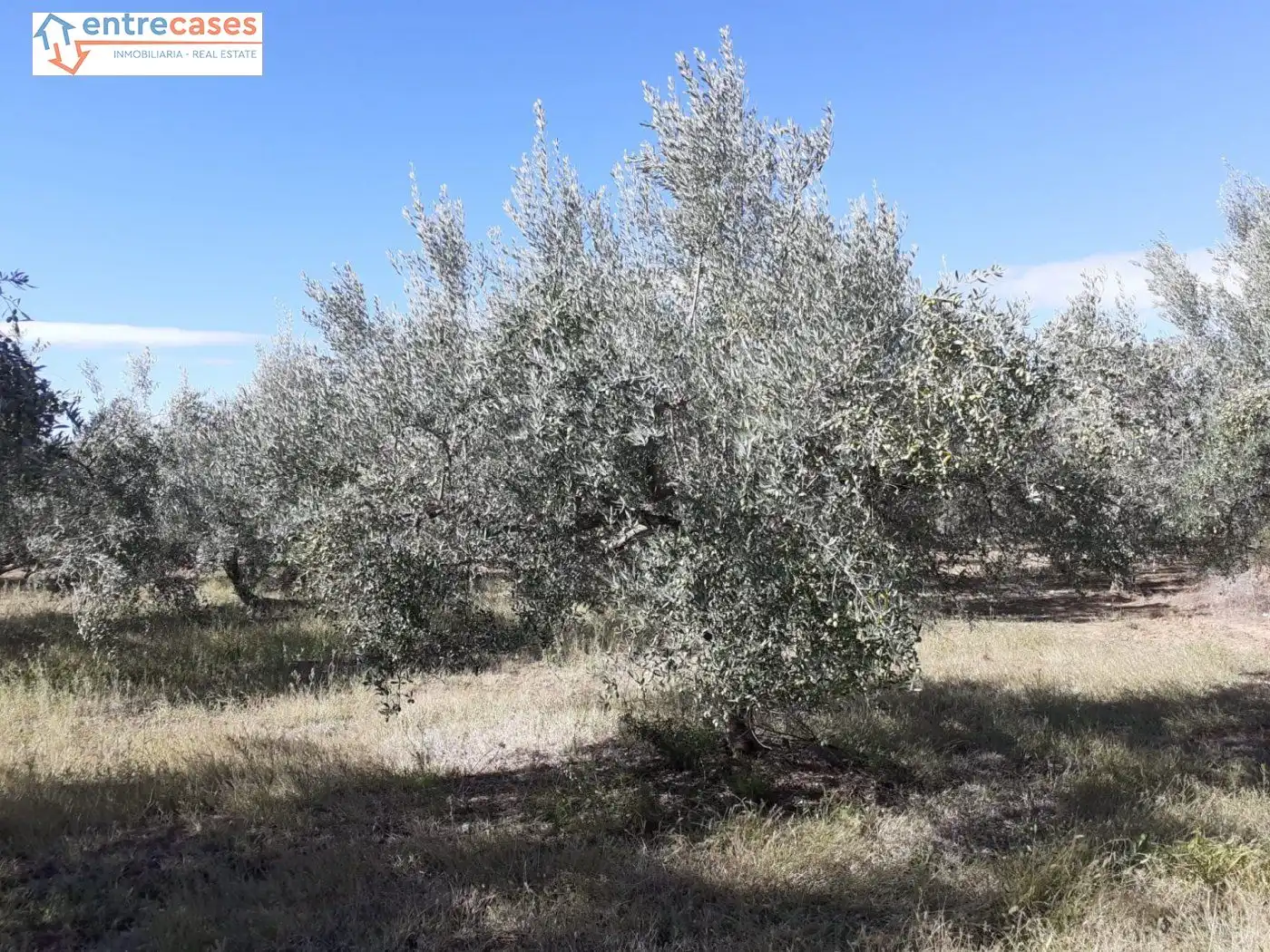 Terreno rustico in vendita a Segorbe, imagen 25