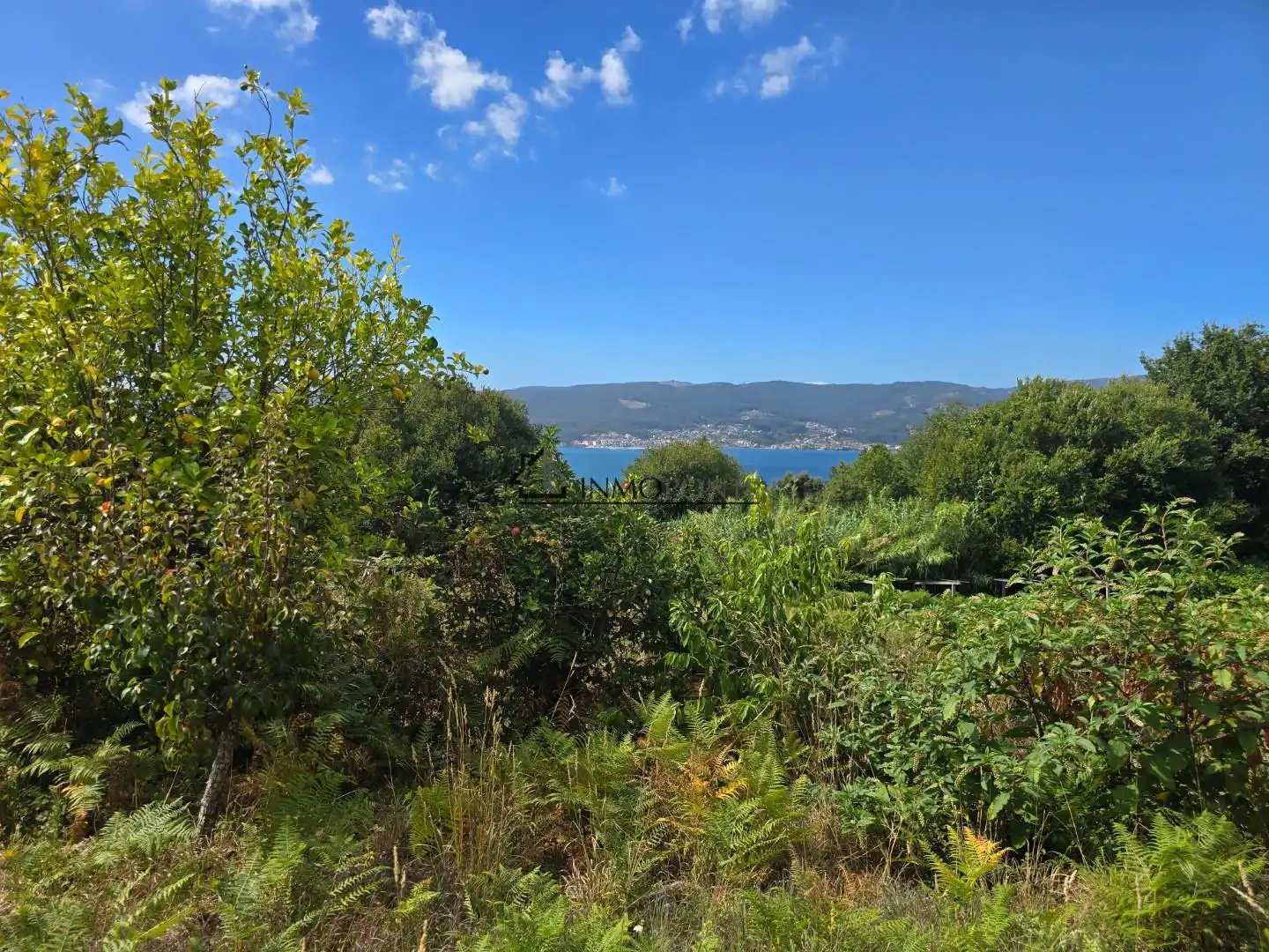 Casa o xalet en venda en Pontevedra Capital  amb Jardí privat