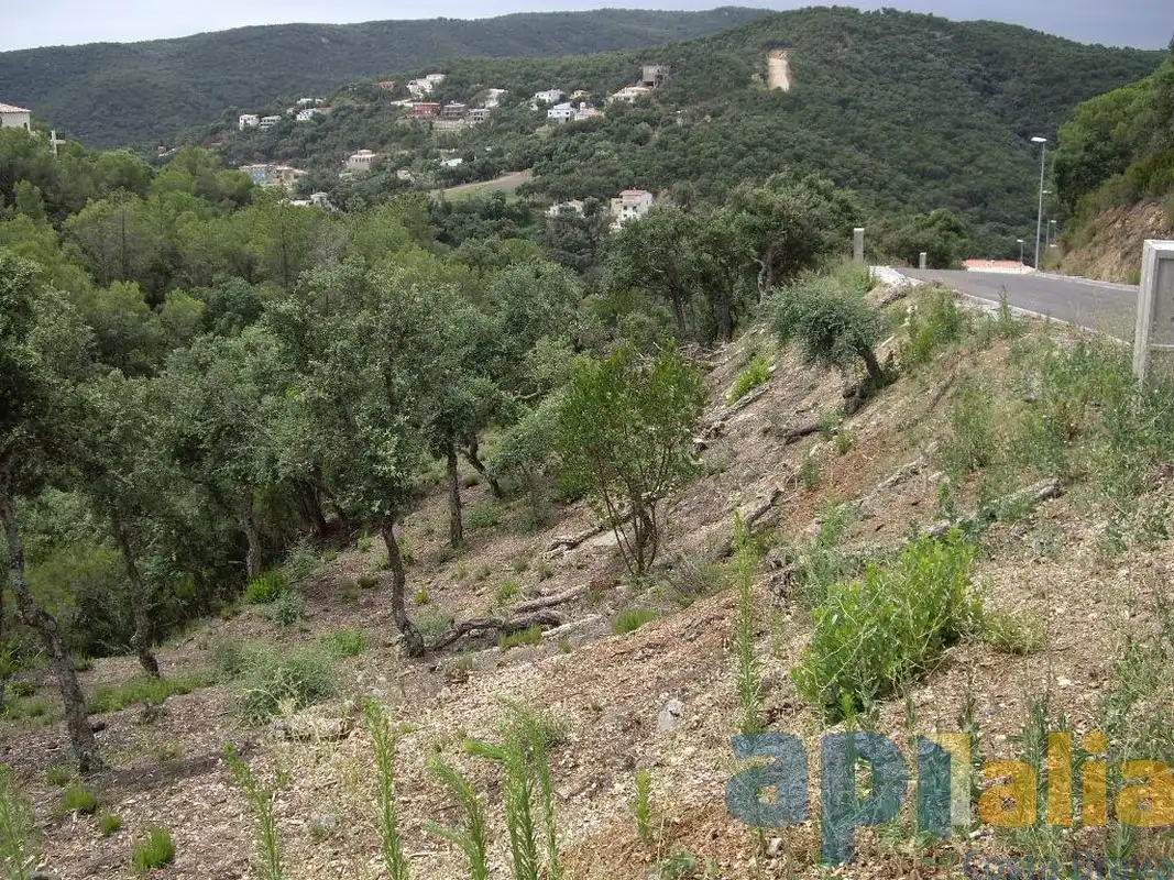 Terreny residencial en venda a Carrer Avet, imagen 3