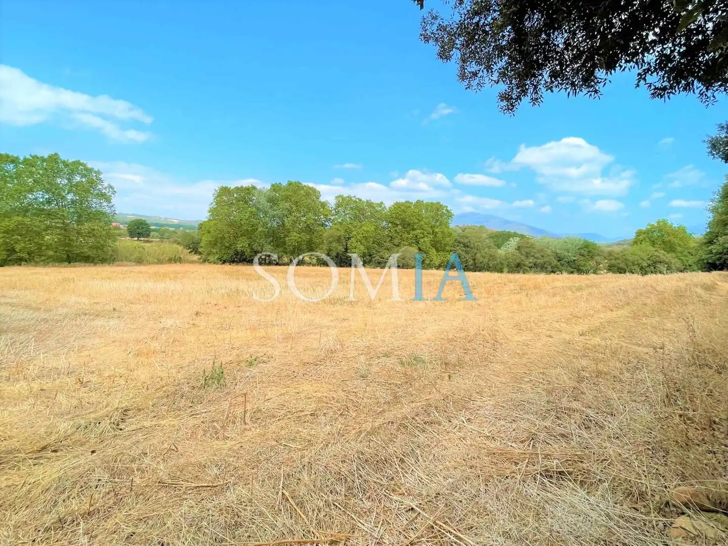 Rural land for sale in Santa Maria de Palautordera, imagen 3