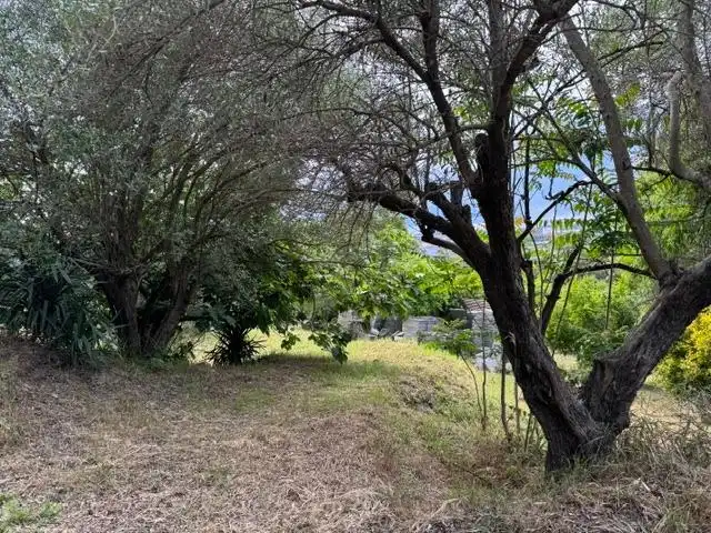 Casa o xalet en venda en Castellbisbal amb Jardí privat, Terrassa i Traster