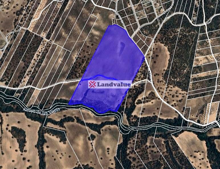 Land for sale in Santa Cruz del Retamar