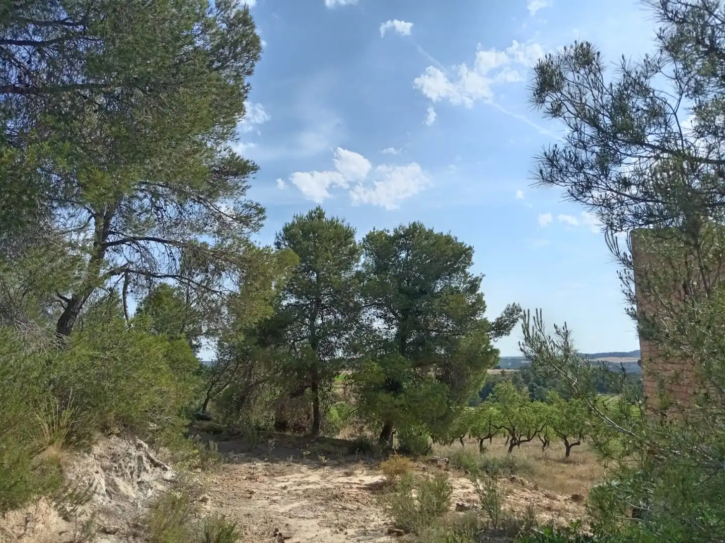 Finca rústica en venda en Batea