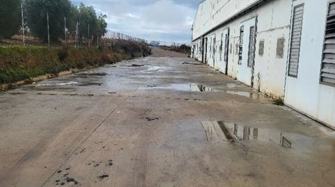 Solvia Inmobiliaria  Nave Industrial Ausejo, imatge 4