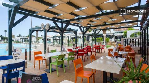 Photo 5 of Study to share in Maspalomas - Meloneras, Las Palmas