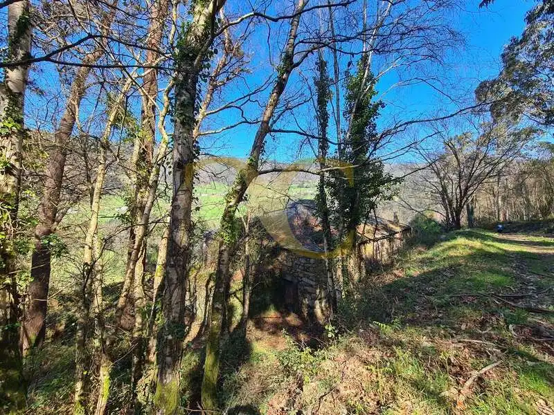 Casa o xalet en venda en Villayón amb Jardí privat