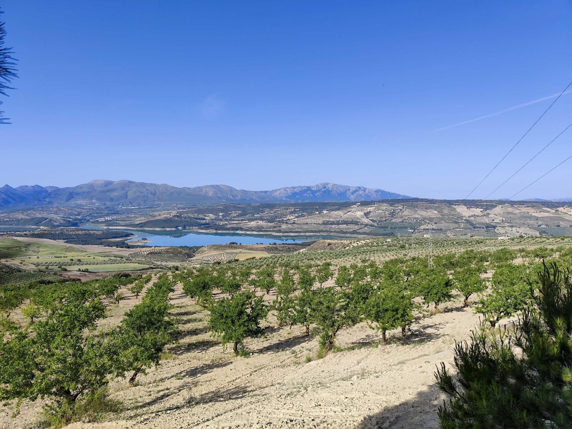 Land for sale in Cacín