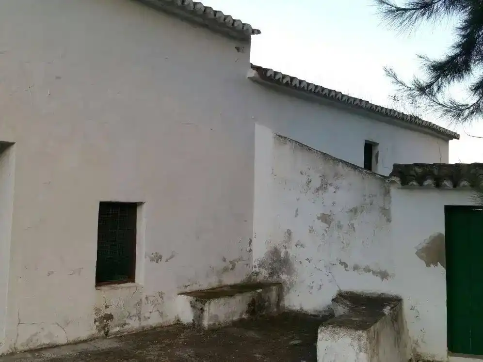 Vista exterior de Finca rústica en venda en Pizarra