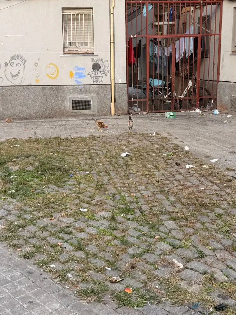 Vista exterior de Piso en venta en Casco Antiguo