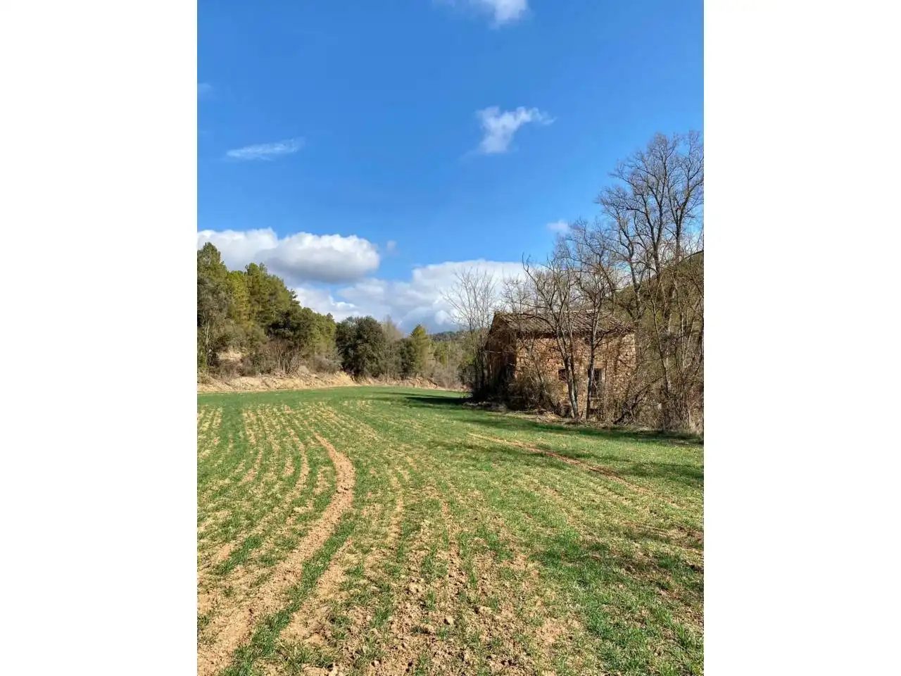 Finca rústica en venta en La Baronia de Rialb con Jardín privado