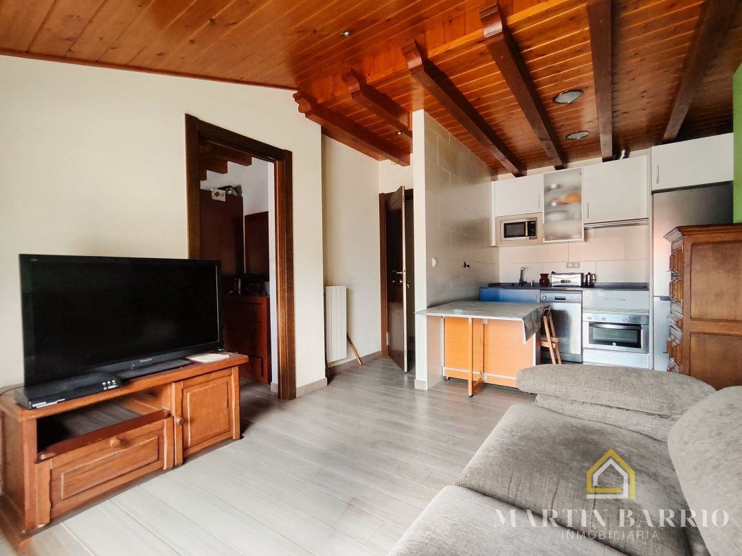 Sala d'estar de Casa o xalet en venda en Muskiz amb Calefacció i Terrassa