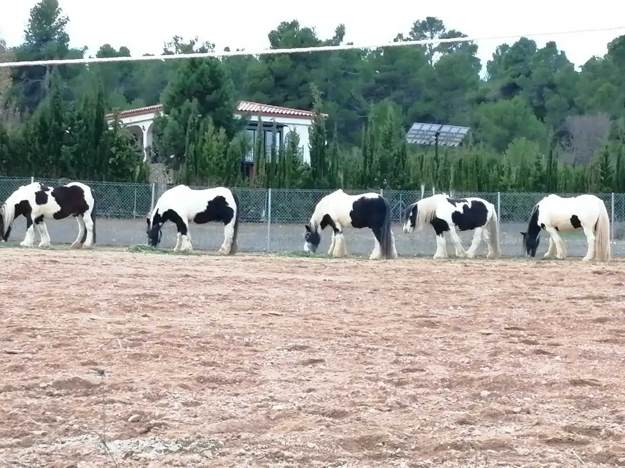 Vista exterior de Finca rústica en venta en Jarafuel con Calefacción, Jardín privado y Amueblado