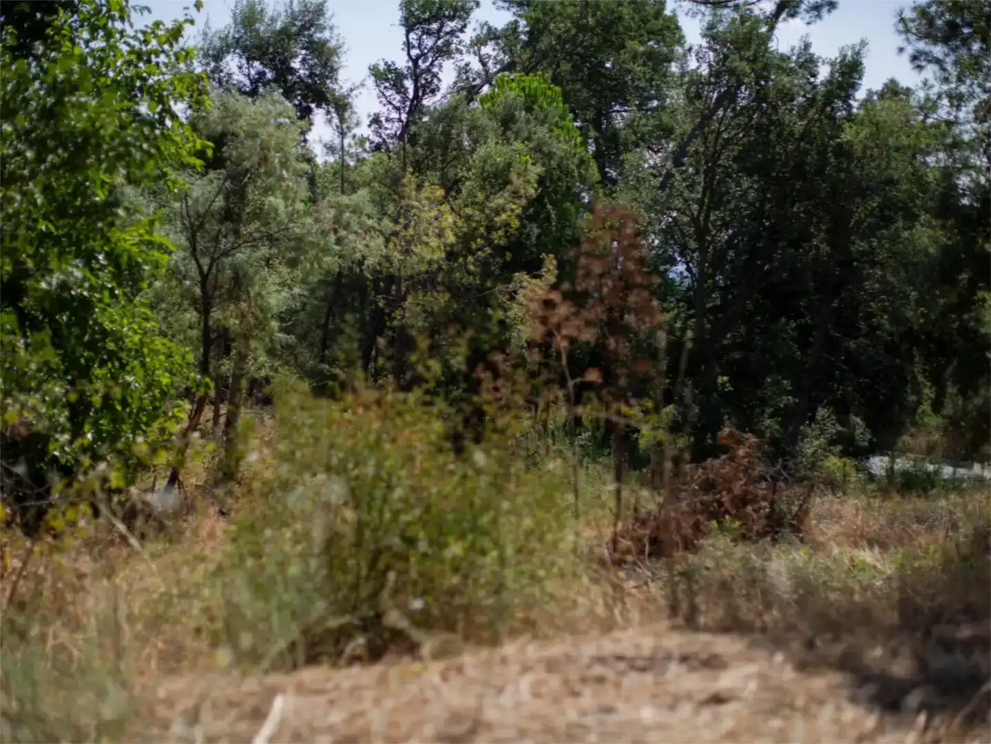 Residencial en venda en Piedralaves