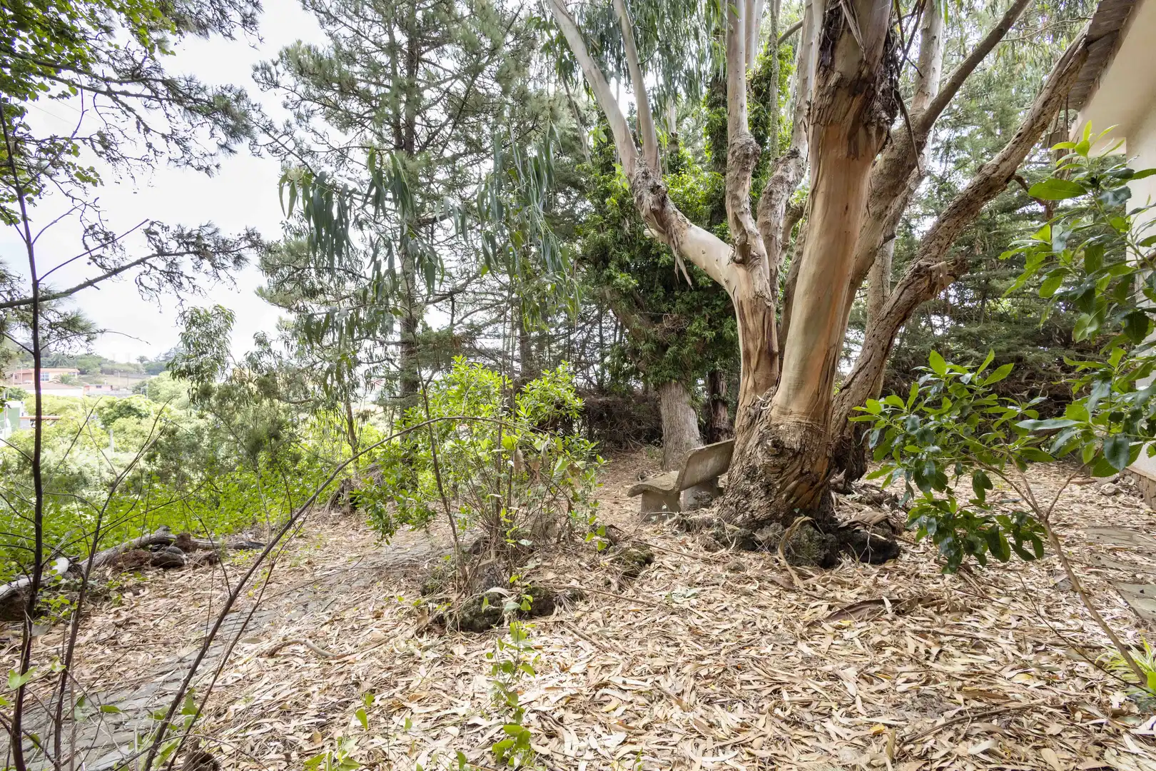 Casa o chalet en venta en El Rosario