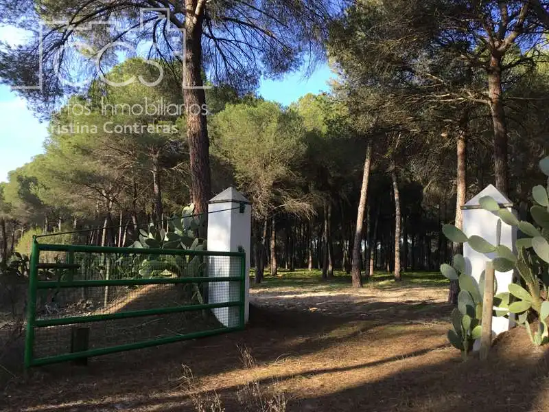 Terreni e lotti in vendita a Almonte ciudad, imagen 18