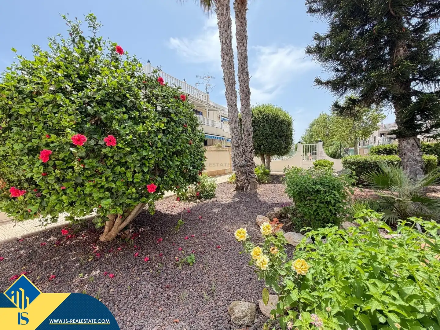 Jardí de Casa o xalet en venda en Torrevieja amb Aire condicionat, Terrassa i Traster