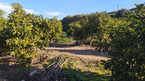 Foto 4 de Terreno en venta en N/a, -1, Maro - Cuevas de Nerja, Nerja