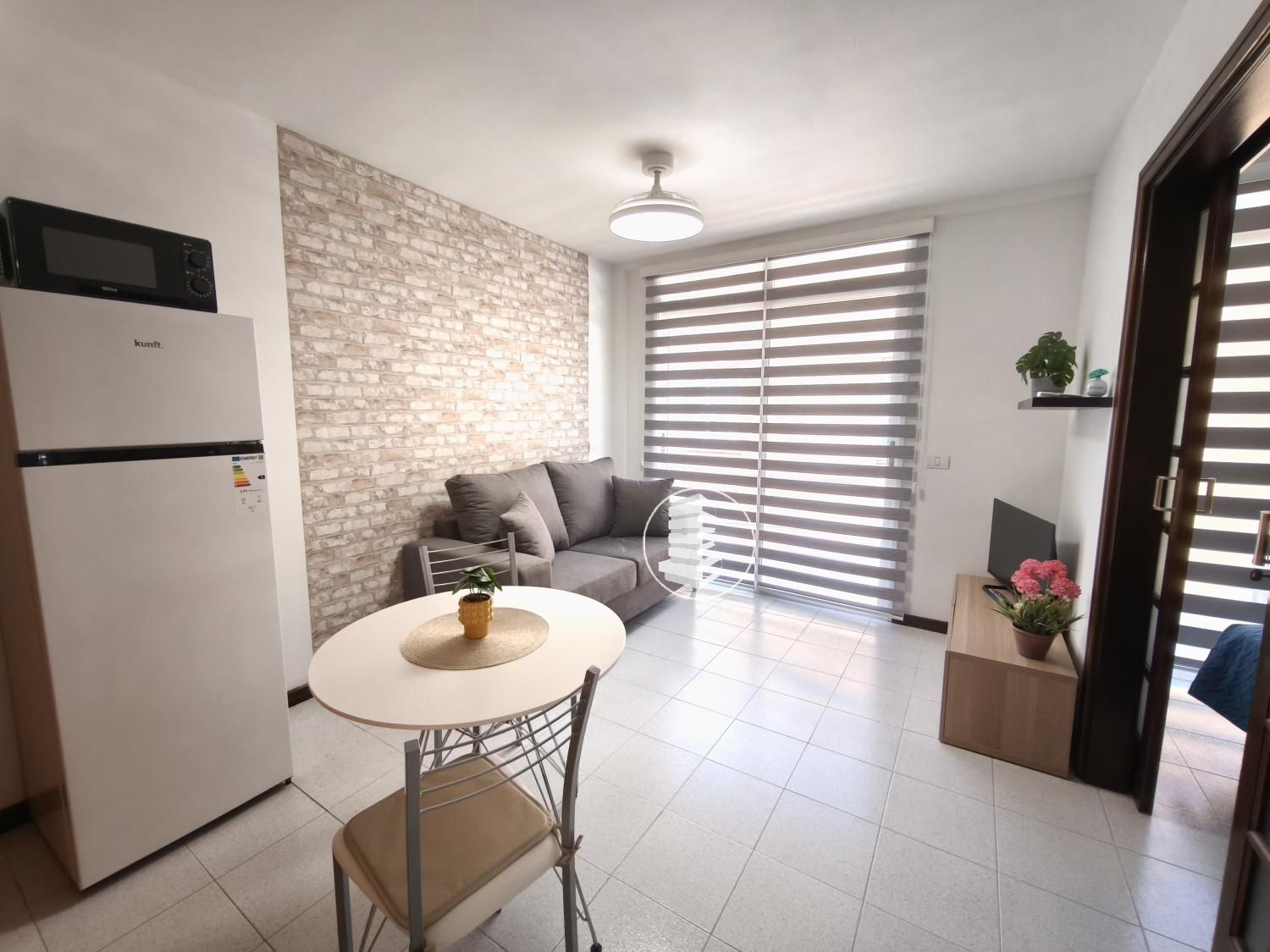 Sala d'estar de Apartament de lloguer en Arico amb Terrassa, Moblat i Balcó