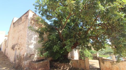 Foto 3 de Finca rústica en venda a Calle la Cuesta, El Cortijuelo, Málaga Capital