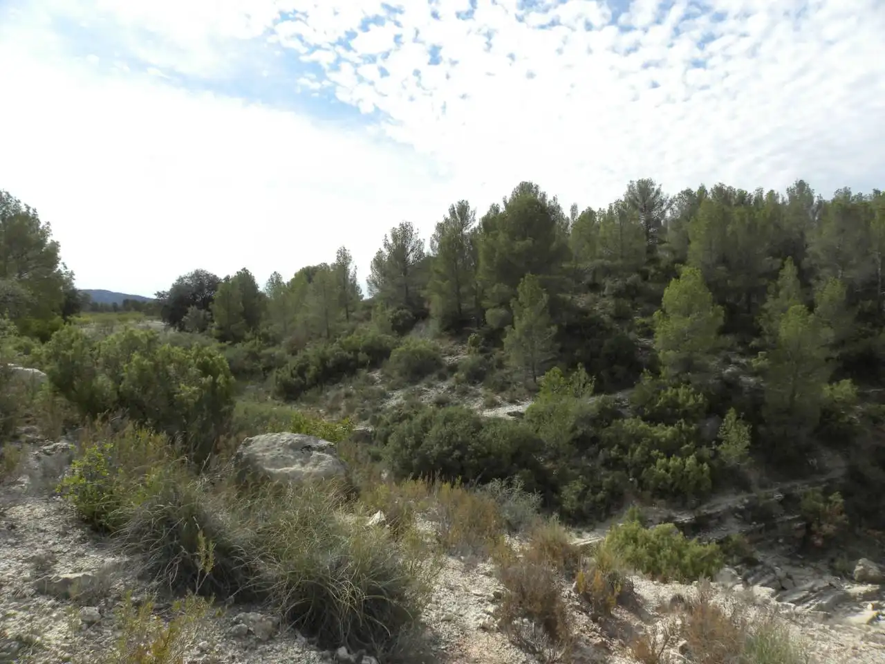 Terreno residencial en venta en Caravaca de la Cruz, imagen 19
