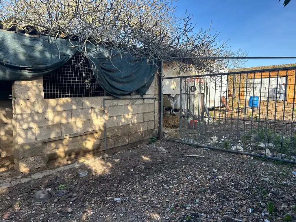 Land for sale in Muro