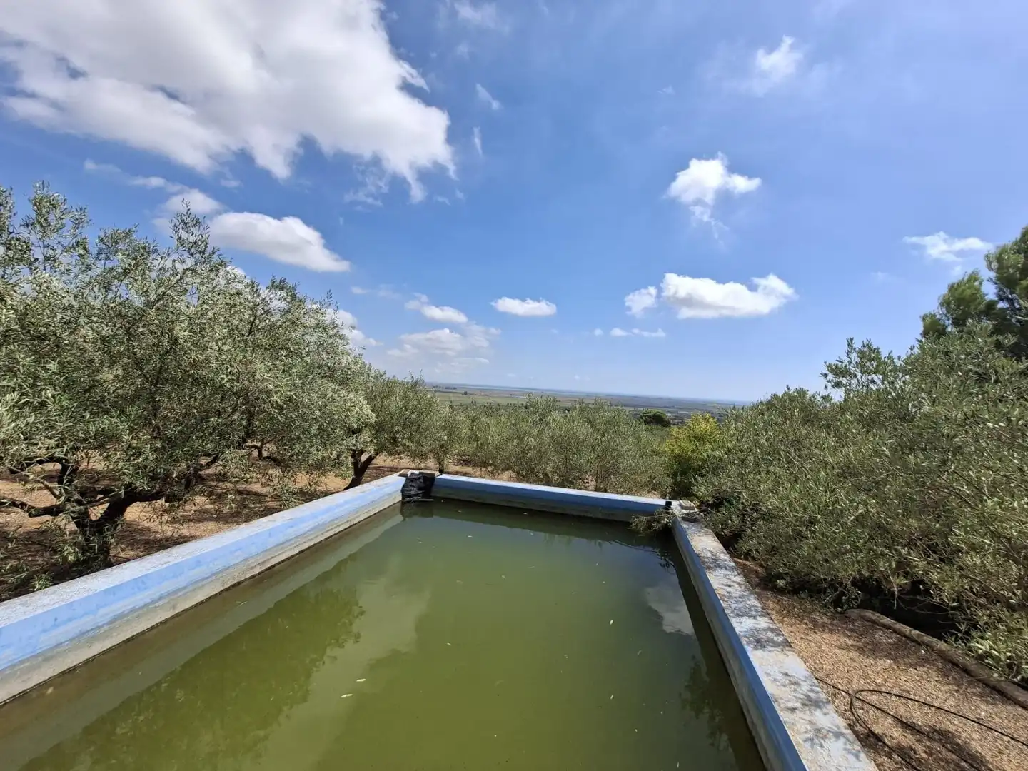 Terreno rustico in vendita a Partida del Mas d'en Civill, imagen 34