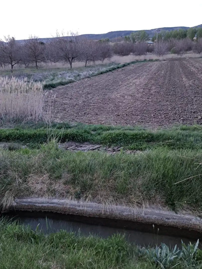 Land for sale in Cuenca