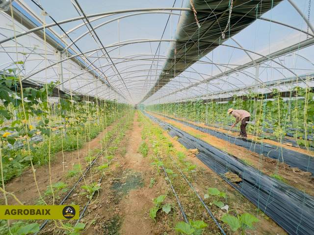 Terreno en Venta en Vilamarina