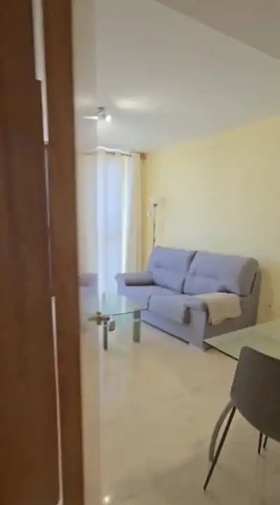 Sala d'estar de Apartament de lloguer en Alfara del Patriarca amb Jardí privat, Moblat i Forn