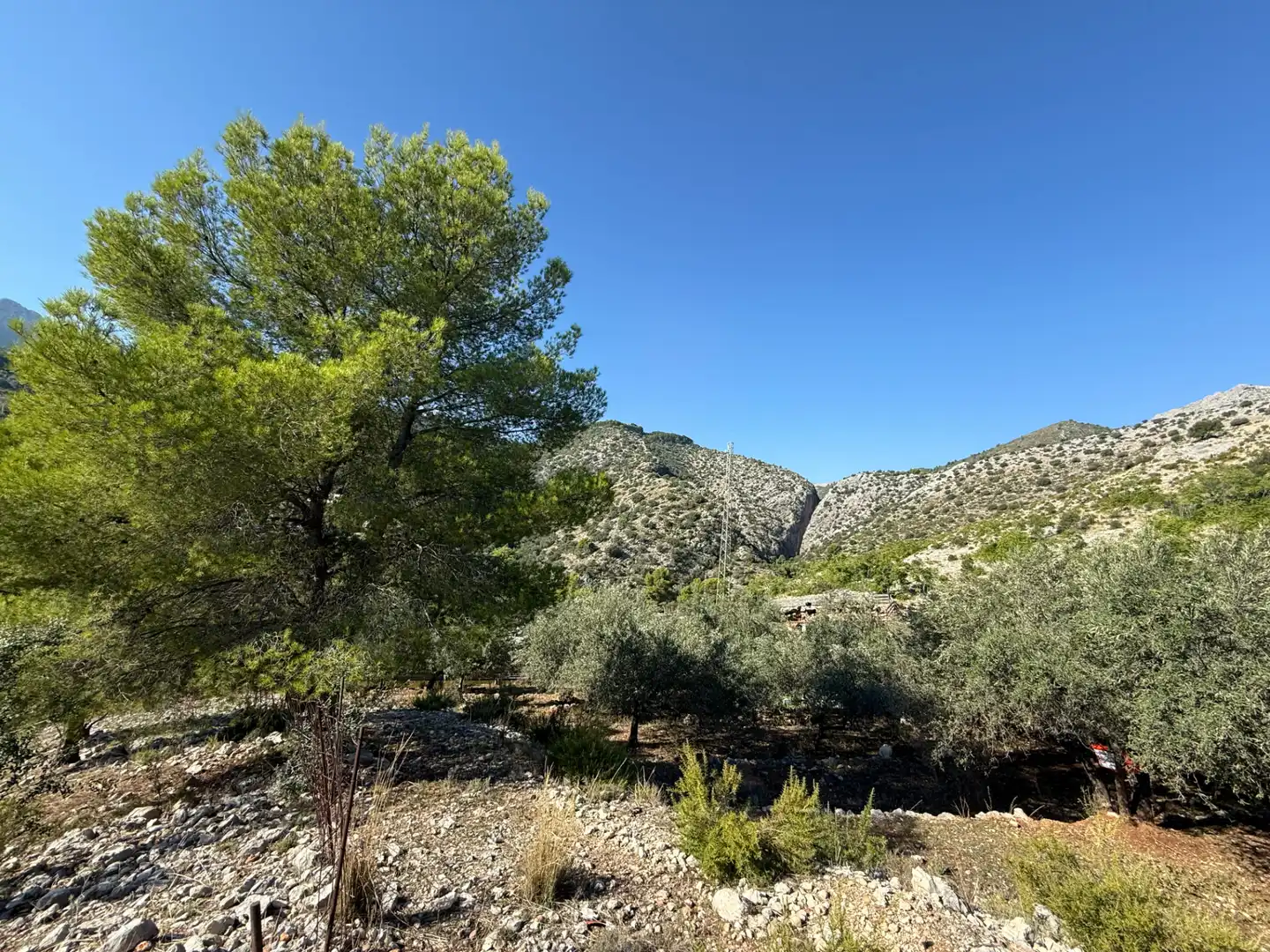 Terreny rústic en venda a La Vall de Laguar, imagen 13